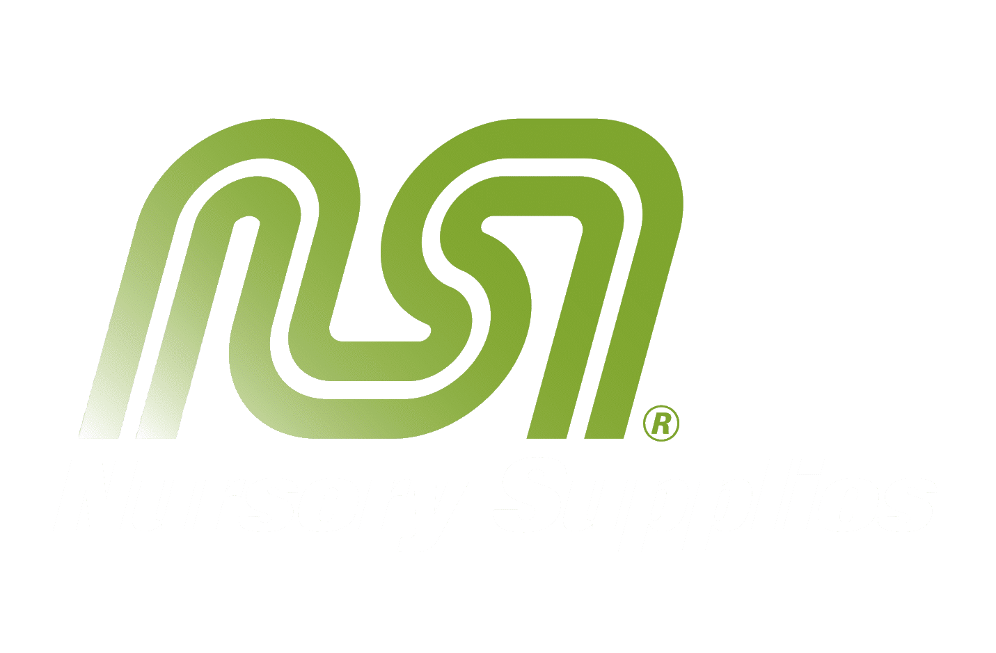 NSI Logo transparent 1